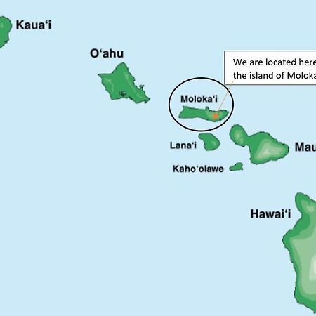Molokai Island Retreat With Beautiful Ocean Views And Pool - Newly Remodeled! Διαμέρισμα Ualapue Εξωτερικό φωτογραφία