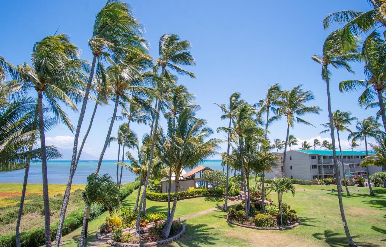 Molokai Island Retreat With Beautiful Ocean Views And Pool - Newly Remodeled! Διαμέρισμα Ualapue Εξωτερικό φωτογραφία