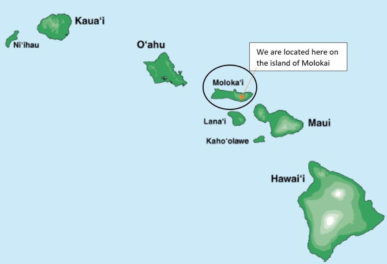 Molokai Island Retreat With Beautiful Ocean Views And Pool - Newly Remodeled! Διαμέρισμα Ualapue Εξωτερικό φωτογραφία